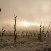 Southampton-led study shows rising droughts even in wetter regions