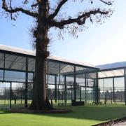 Proposed padel courts with canopy shelters. Image: Pegasus Group