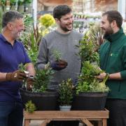 Hands-on gardening meets family time in Cadnam herb workshop