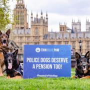 Thin Blue Paw Foundation calls for lifelong support for service dogs