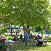 This looks like a great celebration of the New Forest