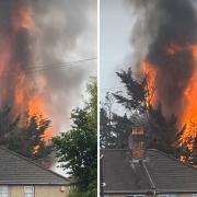 A garden fire that grew out of control caught onto a 40-foot tree on Burgess Road last night.