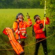 SSEN arborists at work