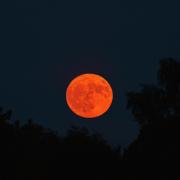 The strawberry moon lighting up the night sky