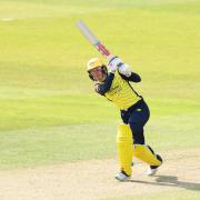 Hampshire Hawks