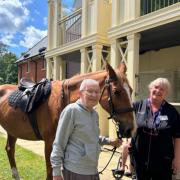 Therapy horses rekindle fond memories for Orchard Gardens residents