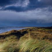 The limb was found at Prestwick Beach in South Ayrshire (Alamy/PA)