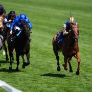 Crimson Advocate (right) won the Duke of Cambridge Stakes (PA)