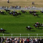 My Cloud (near side) won the Royal Hunt Cup (John Walton/PA)