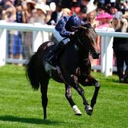 Charles Darwin ridden by Ryan Moore on their way to winning the Norfolk Stakes on day three of Royal Ascot at Ascot Racecourse, Berkshire. Picture date: Thursday June 19, 2025.