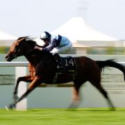 Trinity College won the Hampton Court Stakes (David Davies/PA)