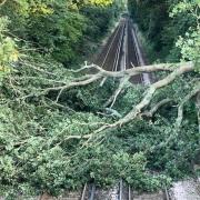 A tree is blocking the railway