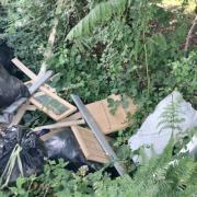 Fly tipping in the New Forest