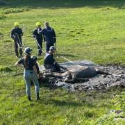 Hampshire firefighters worked with specialist animal rescue teams to free horse Tyse from a New Forest bog.