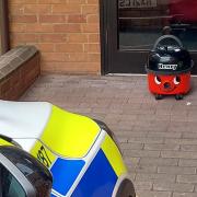 A Henry Hoover was stolen from the cleaning cupboard of a care home in the New Forest.