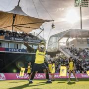 Hampshire Hawks have announced a new signing for the remaining T20 games