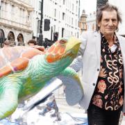 Ronnie Wood during a photocall for the launch of Tusk Turtle Trail (Ian West/PA)