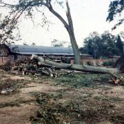 Anniversary of great stort (1987) at Exbury. Storm damage at the sawmill.