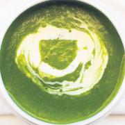 Watercress Soup