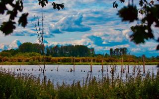 Part of the waterside footpath at Fishlake Meadows Wildfire Trust Nature Reserve will close this week.