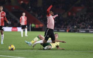 Southampton's Kyle Walker-Peters was the match-winner as Bristol City visited St Mary's