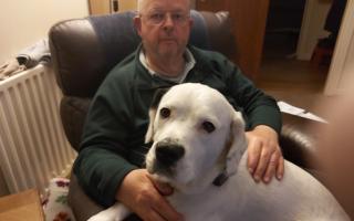 Gordon Jamison and his dog Ru, who has been bitten by an adder twice in less than a year