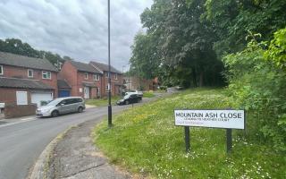 Mountain Ash Close leading to Heather Court