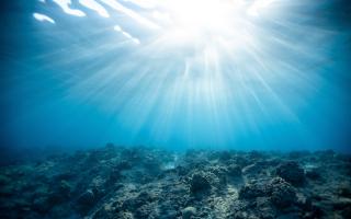 Three UK scientists from the National Oceanography Centre have been honoured