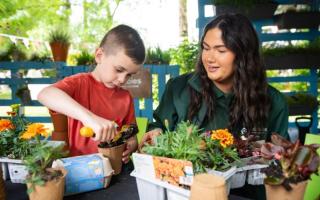 The 'Show and Tell and Growing' workshop will encourage children to learn all about plants and how to grow them