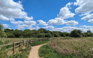 Test  Valley residents have worst access to green space than most in the South East