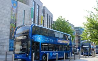 Bluestar bus drivers to wear poppies for Remembrance