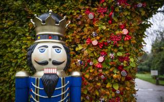 The family Christmas Nutcracker trail in the garden at Mottisfont