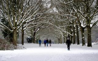 A snowy day in Southampton Common - could we see a white Christmas in 2024?