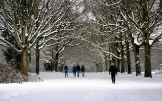 Snow at Southampton Common