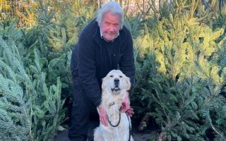 Allington Nursery owner Steve Goodridge with his dog Dexter.