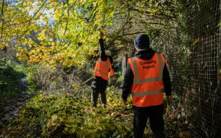 Community Payback (CP) offers a unique and fulfilling opportunity to support rehabilitation while giving back to the community.