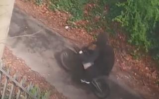 The police are looking for this person, who severely injured a 5-year-old girl in Winchester