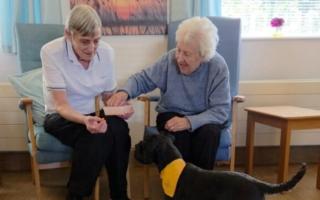People at the charity's care and wellbeing centres enjoyed music and pet therapy sessions.