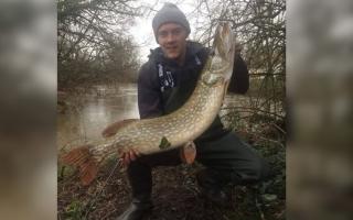 Tom Manston