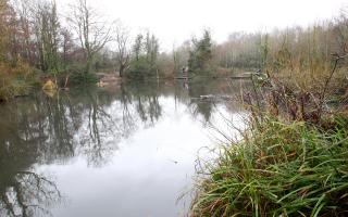 Miller's Pond in Sholing