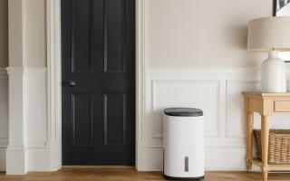 The dehumidifier - a girl's best friend when it comes to keeping the house warm and dry, and cutting down on energy bills