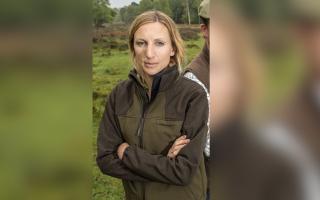 New Forest road safety campaigner and commoner Erika Dovey handed ban after drink driving