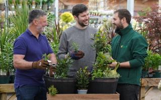 Hands-on gardening meets family time in Cadnam herb workshop