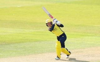 Hampshire Hawks