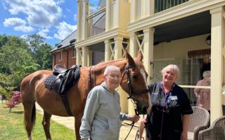 Therapy horses rekindle fond memories for Orchard Gardens residents