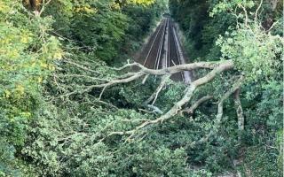 A tree is blocking the railway